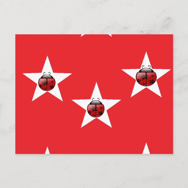 Carte Postale étoile de Ladybug (Devant)