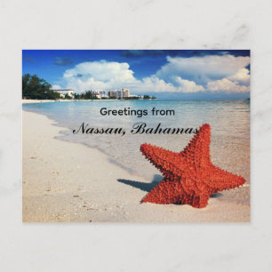 Carte Postale Étoile de mer, Nassau, Bahamas