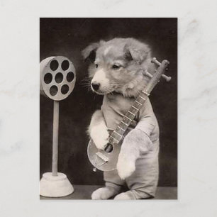 Carte Postale Étoile radio Doggy