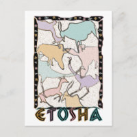 Carte postale Etosha