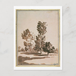 Carte Postale Étude d'arbre (stylo et encre sur papier)
