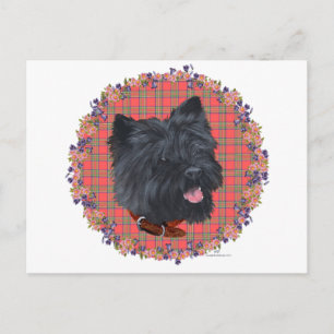 Carte Postale Étude de Black Cairn Head
