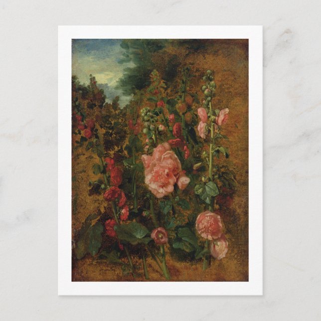 Carte Postale Étude de Hollyhocks, c.1826 (huile à bord) (Devant)