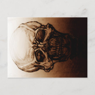 Carte Postale Étude du crâne