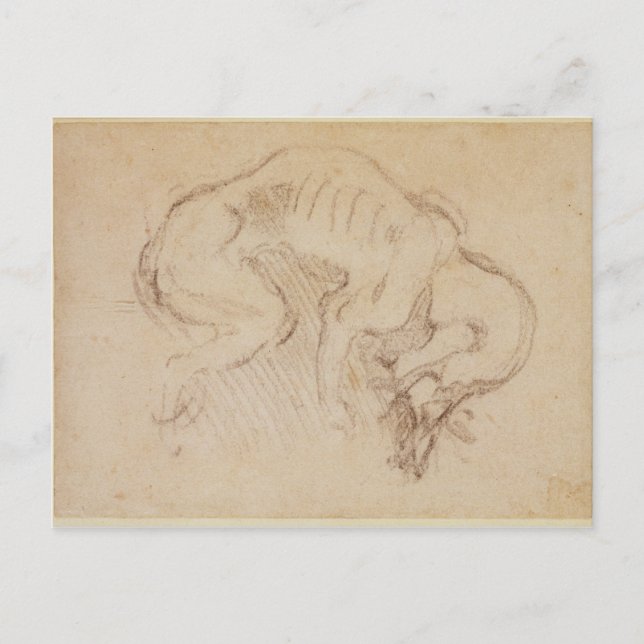 Carte Postale Étude d'un chien (Devant)