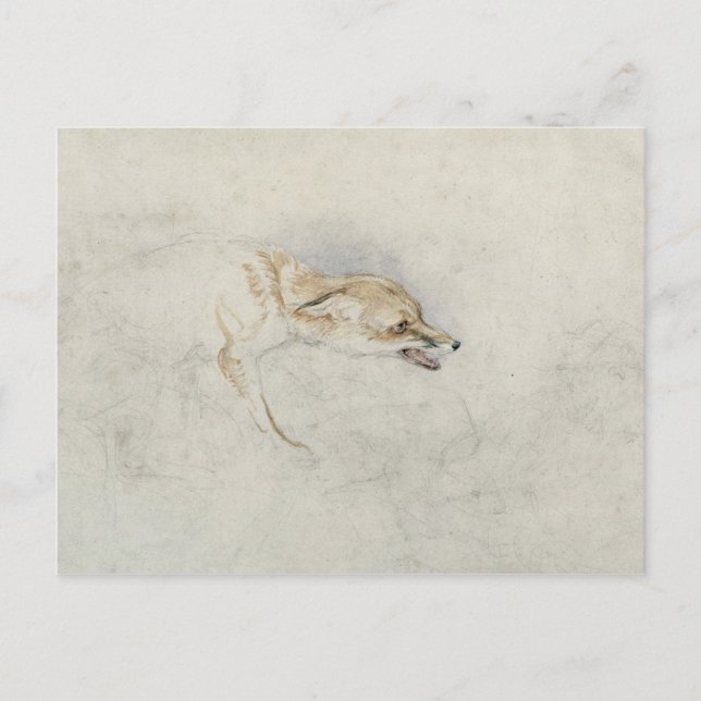 Carte Postale Étude d'un renard croustillant, face à droite vers (Devant)