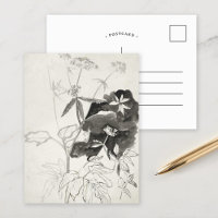 Étude plante | Carel Adolph Cachet