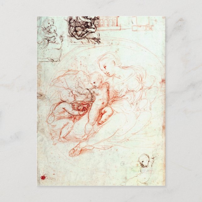 Carte Postale Étude pour Alba Madonna, c.1508-09 (Devant)
