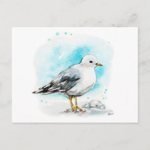 Carte Postale Étude Seagull 1