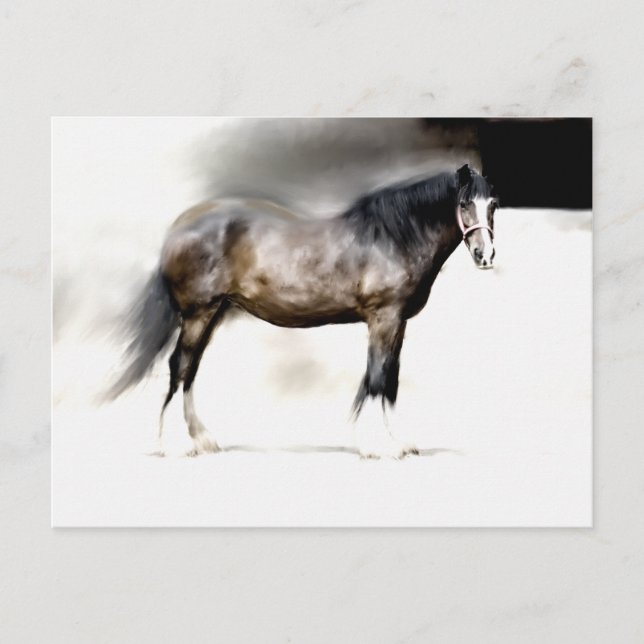 CARTE POSTALE ÉTUDE SUR LE CHEVAL DE SHIRE (Devant)