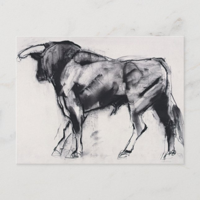 Carte Postale Étude Toro Azul (Devant)