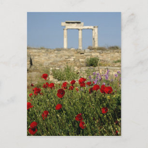Carte Postale Europe, Grèce, Cyclades, Délos. Ruines de colonnes