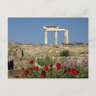 Carte Postale Europe, Grèce, Cyclades, Délos. Ruines de colonnes