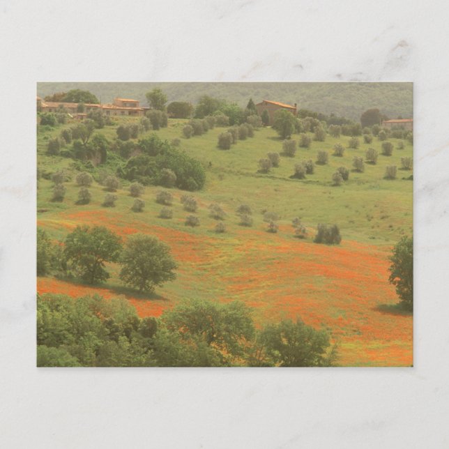 Carte Postale Europe, Italie, Toscane, Val D'Orcia, Monte (Devant)