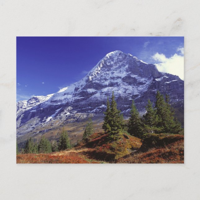 Carte Postale Europe, Suisse, Eiger. Les couleurs d'automne abon (Devant)