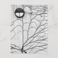 Europe, Suisse, Lucerne. Ivy motif sur
