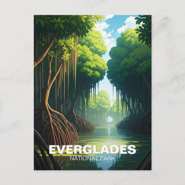 Carte Postale Everglades Parc National Floride Voyage (Devant)