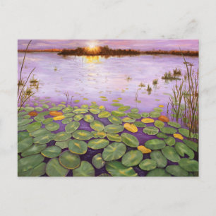 Carte Postale Everglades Soirée