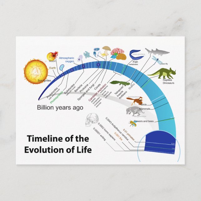 Carte Postale Évolution de la vie sur Terre Diagramme chronologi (Devant)
