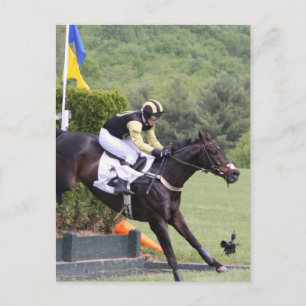 Carte postale Évolution des chevaux