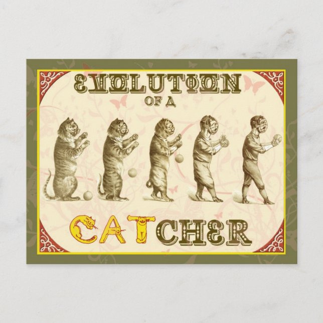 Carte Postale Évolution d'un attrapeur (Devant)