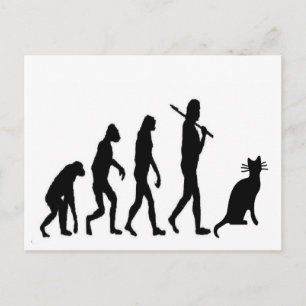 Carte Postale Evoultion Cat "We Believe"-Funny Cat Lovers