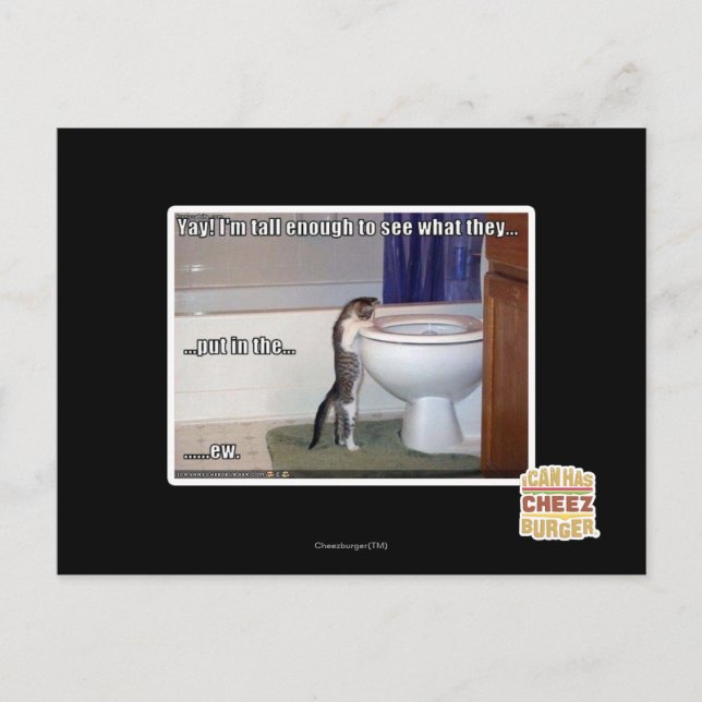 Carte Postale ew (Devant)