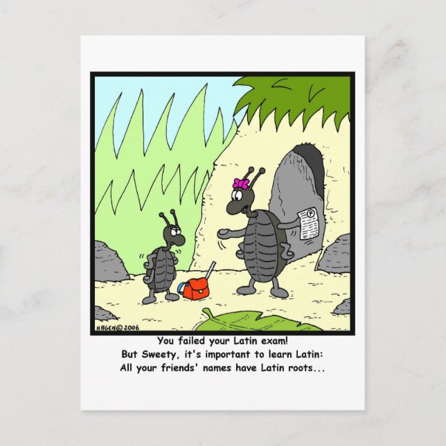 Carte Postale Examen latin (Devant)