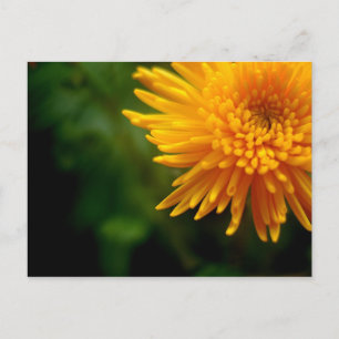 Carte postale exceptionnelle (maman)