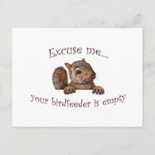 Carte Postale Excusez-moi...votre chargeur d'oiseaux est vide