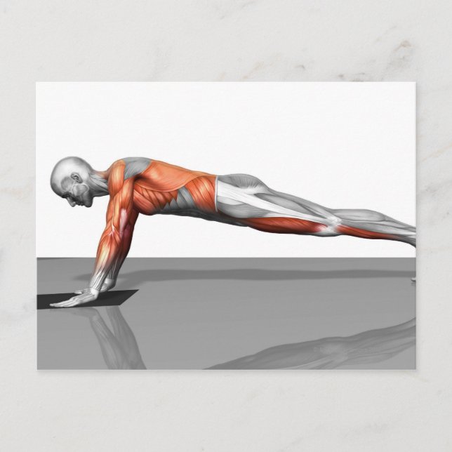 Carte Postale Exercice de vol de serviettes (Devant)