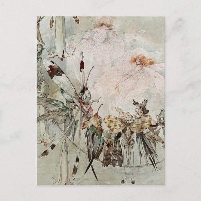 Carte Postale "Exotics at Play" de A Duncan Carse (Devant)