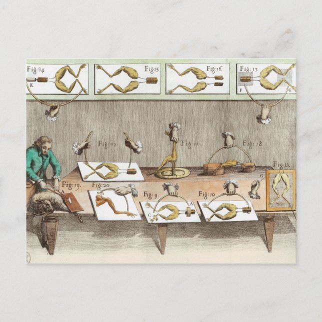 Carte Postale Expérience sur les grenouilles (Devant)