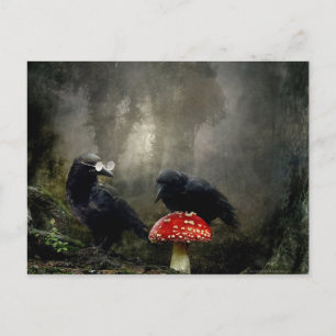 Carte Postale Experts des champignons