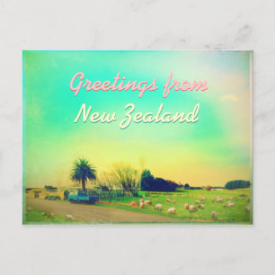 Carte Postale Exploitation ovine en Nouvelle-Zélande