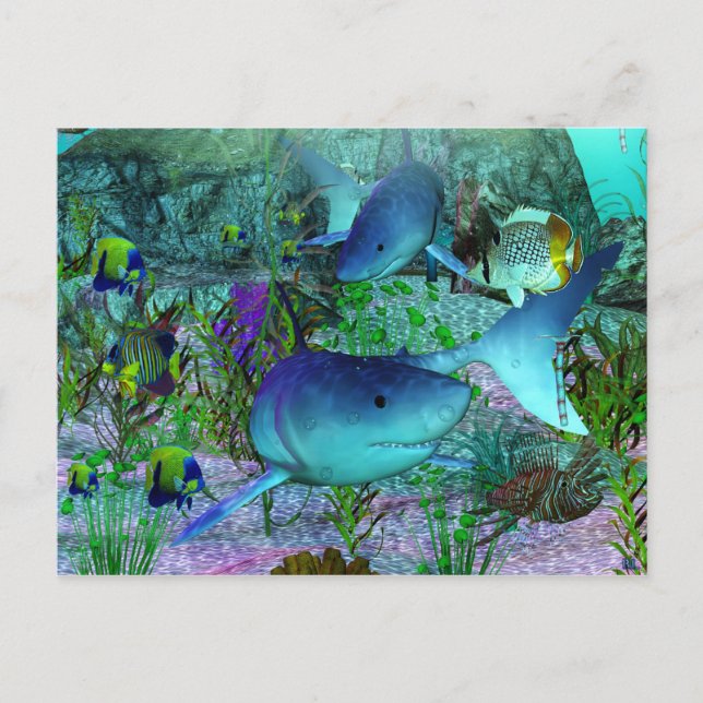 Carte Postale Exploration requins 3D (Devant)