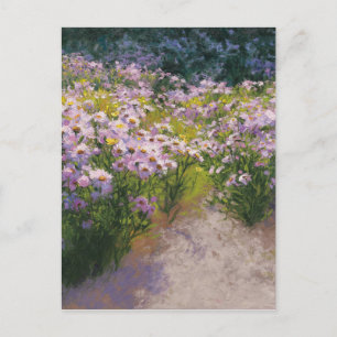 Carte Postale Exposition d'aster de Buckhorn