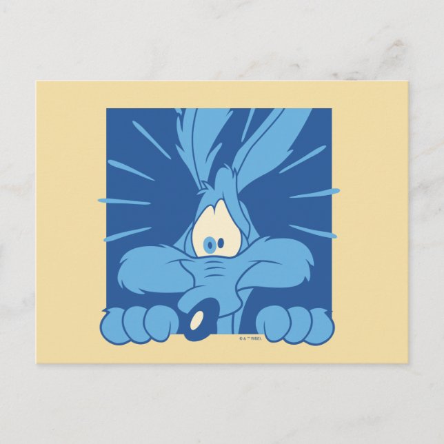 Carte Postale Expression de choc de BÉBÉE COYOTE™ (Devant)