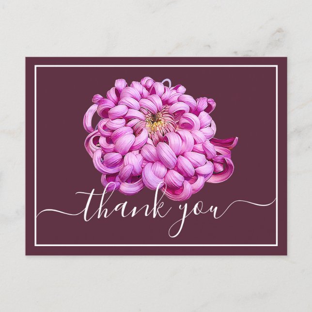 Carte Postale Exquis Merci Chrysanthemum Décoratif Rose (Devant)