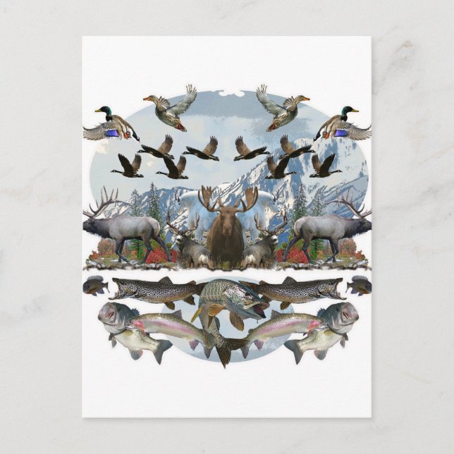 Carte Postale Extérieur à la vie (Devant)