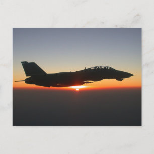 Carte Postale F 14 Tomcat Fighter Jet