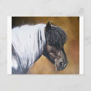 Carte Postale FAA-AfroPony