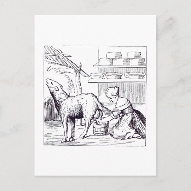 Carte Postale Fabrication de fromages en Suisse, d'après une gra (Devant)