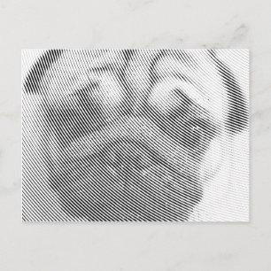 Carte Postale Face carlin