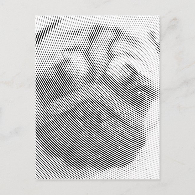 Carte Postale Face carlin (Devant)