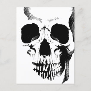 Carte Postale Face du crâne