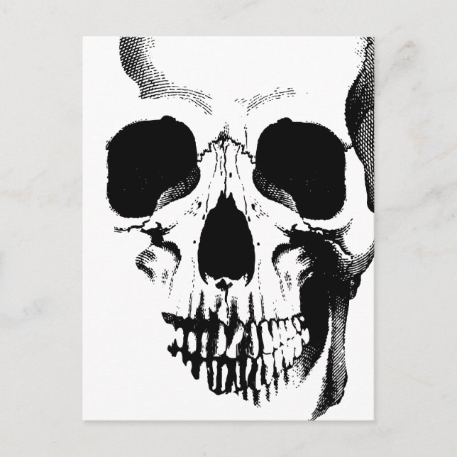 Carte Postale Face du crâne (Devant)