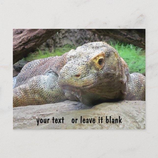Carte Postale Face Komodo Dragon avec votre texte (Devant)