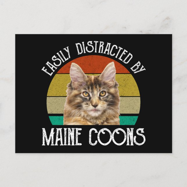 Carte Postale Facilement Distrait Par Les Maine Coons (Devant)