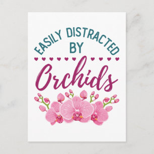 Carte Postale Facilement distrait par les orchidées amateur d'or